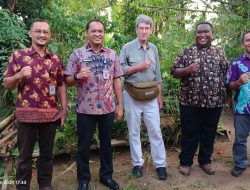 Lebih Dari 600 Jenis Anggrek Ada Di Papua, Peneliti Temukan 12 Jenis Anggrek Baru Lagi Di Kepala Burung Pulau Papua