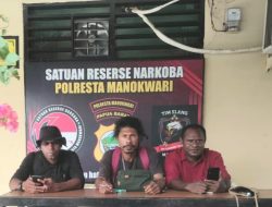 Penanganan Kasus Ilegal Loging di Dagu Distrik Mayado Terkesan Jalan Di Tempat, Kejati Diminta Evaluasi Kinerja Kejari Teluk Bintuni