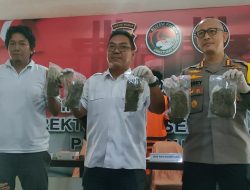 Bekuk Pengedar Ganja, Polda Papua Barat Berhasil Selamatkan 923 Generasi Dari Bahaya Narkoba