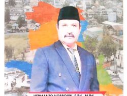 Daftar Cawagub Di Demokrat, Hermanto Hobrouw Layak Dampingi DM Di Pilgub Papua Barat