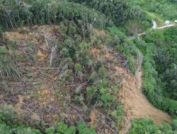 Dua Bulan Jalan Trans Papua Barat Di Minyambou Tertutup Longsor, Akses Transportasi Putus, Pj. Gubernur Ali Baham Diminta Responsif