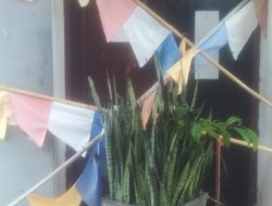 Honorer Palang Kantor Bupati Mansel, Desak Bupati Tidak Potong Gaji Honorer Dan Umumkan Kuota PPPK 2024