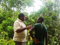 Meski Diguyur Hujan, Marthen Howay Sapa Petani Lokal, Beri Dukungan Bagi Petani Di Maybrat