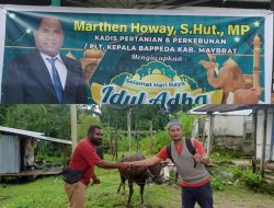 Rayakan Idul Adha, Kadis Pertanian Marthen Howay Sumbang Hewan Kurban Kepada Umat Muslim Di Maybrat