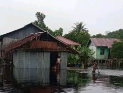 3 Kampung Di Kokoda Utara Terendam Banjir, Pemkab Sorsel dan Pemprov PBD Diminta Segera Tanggap Darurat