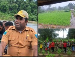 Marthen Howay Dinilai Berkontribusi Nyata Terhadap Pemulangan Eksodus Maybrat Dari Sektor Pertanian