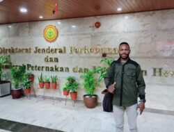 Petani Milineal Soroti Kinerja Dinas Pertanian Pegaf Atas Pengembangan Potensi Kopi Arabica Anggi