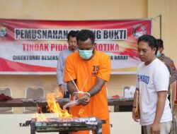 Polda Papua Barat Musnahkan Barang Bukti Narkoba Jenis Ganja Sebanyak 353,99 Gram