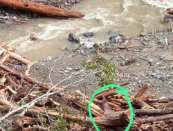 19 Korban Hilang Tersapuh Banjir Bandang Di Kampung Jim Pegaf, Personel Polri, TNI Dan Sar Dikerahkan Lakukan Pencarian