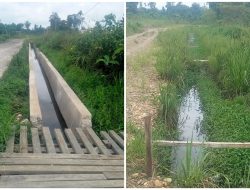 Cair 100 Persen Tapi Mangkrak, Anggota MRPB Desak APH Selidiki Proyek Drainase di Bintuni Timur