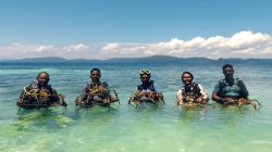 Kolaborasi 15 BUMN Laksanakan Program TJSL dan Transplantasi Terumbu Karang di Mutus Raja Ampat